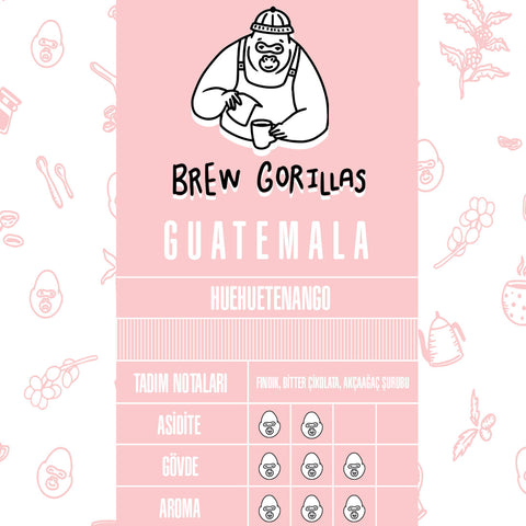 Aromalı Guatemala Filtre Kahveleri, Filtre kahve demleme