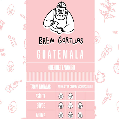 Aromalı Guatemala Filtre Kahveleri, Filtre kahve demleme